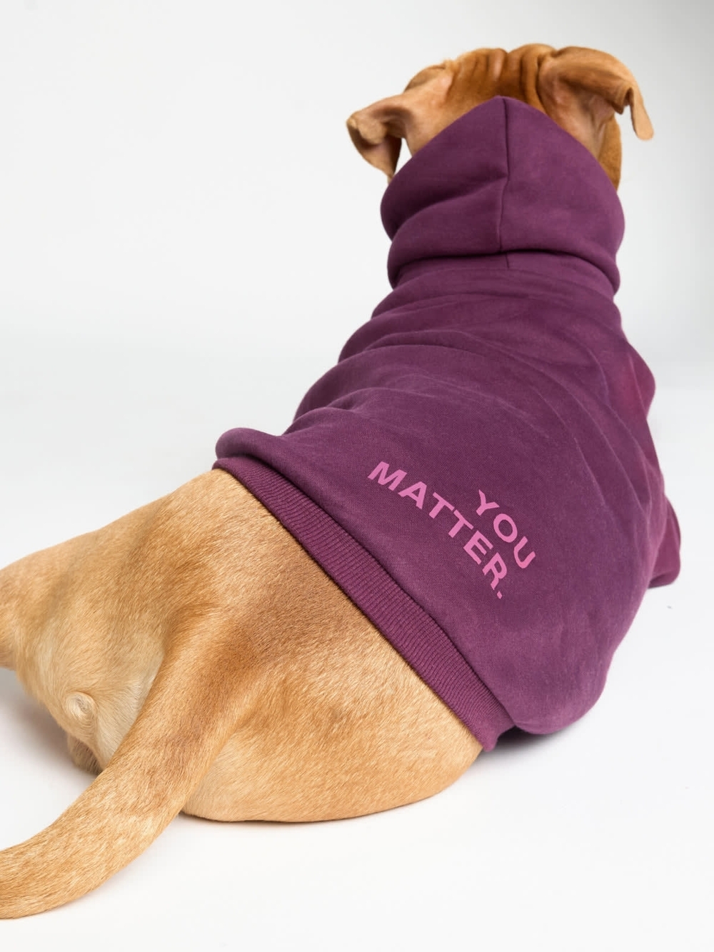 Comfort Clothing 'You Matter Paw Hoodie' Limited Edition in Plum - Picture 2 of 11